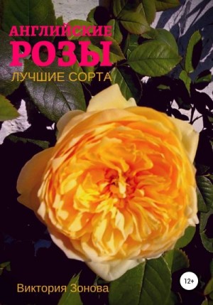 Зонова Виктория - Английские розы. Лучшие сорта