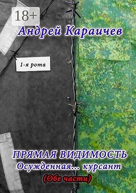 Караичев Андрей - Прямая видимость. Осужденная… курсант