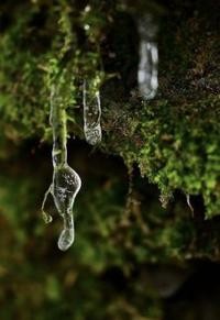 Лана Ант - Дороги к счастью