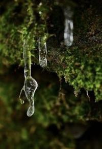 Дороги к счастью