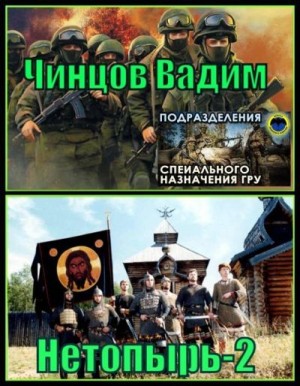 Чинцов Вадим - Нетопырь 2