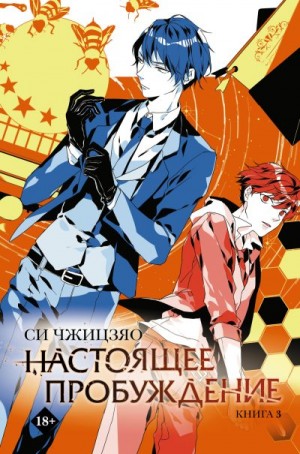 Чжицзяо Си - Настоящее пробуждение. Real Awakening. Книга 3