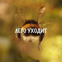 s4ita1o4ka