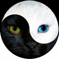 Лана
