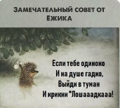 6710e47329426.png