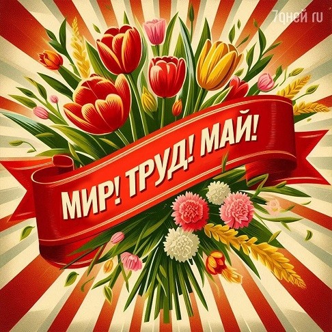 69f4835fb56df.jpg