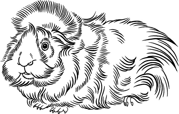 6a893d969c46a.png